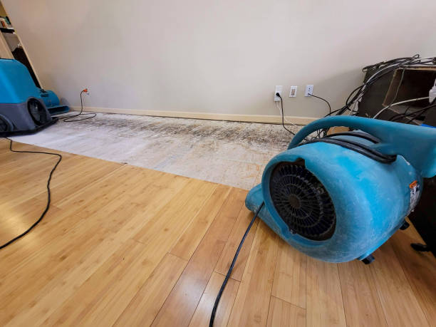 Reliable Basement Flood Cleanup contractor in Trenton, GA by Hirex Water Damage