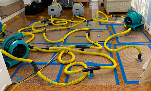 Professional Basement Flood Cleanup technician working in Trenton, GA